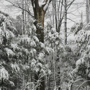 Meet your Posher, Ruth ann-rudy